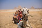 Pyramids of Giza Egypt – Why You Need To Visit NOW