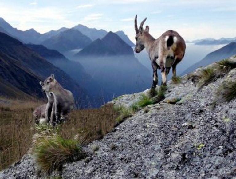 Hiking trails in Zurich