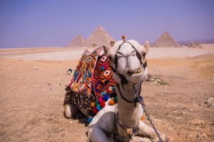 Best Places to visit in Cairo