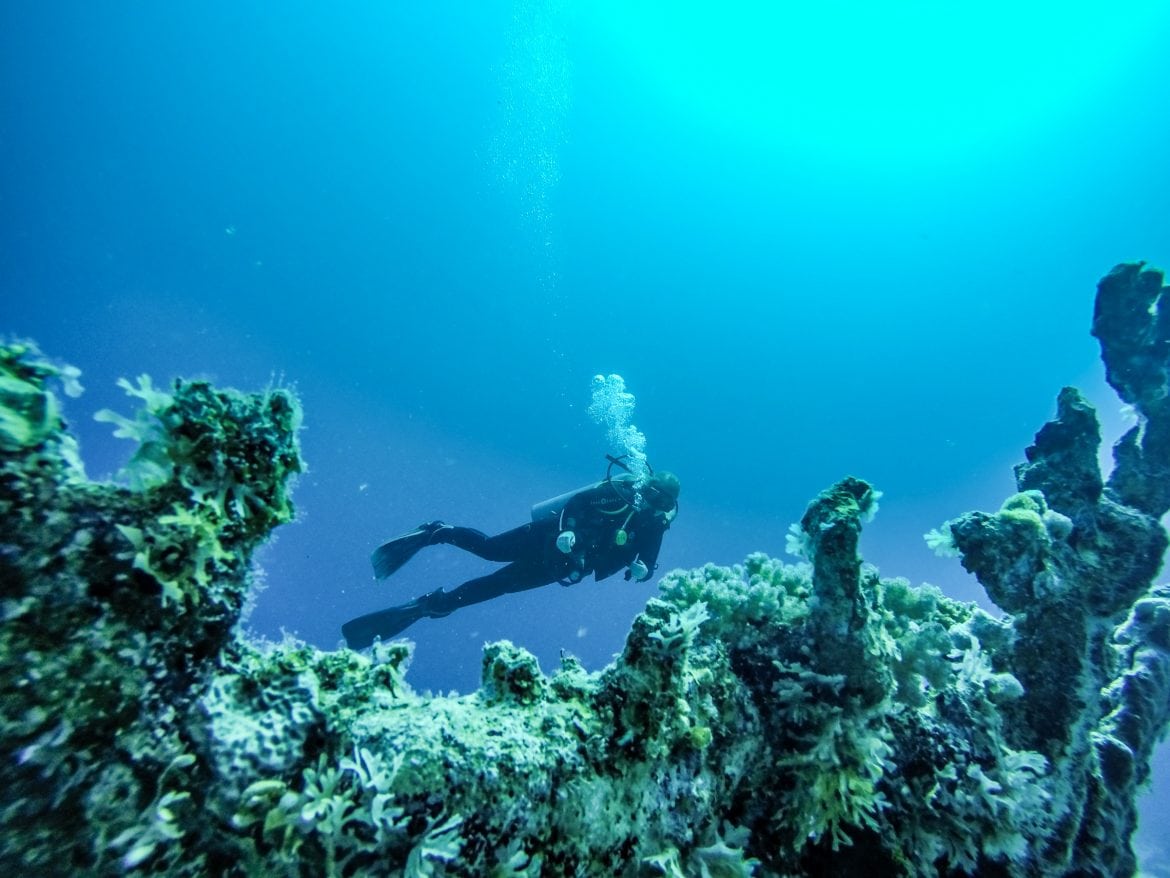 Dahab Diving The Ultimate Scuba Guide (by a local) • A Little Nomad