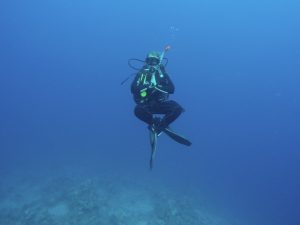 The Ultimate Guide To Scuba Diving in Dahab, Egypt (by a local)
