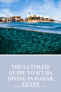 Dahab Diving - The Ultimate Scuba Guide #dahab #scubadiving #egypt