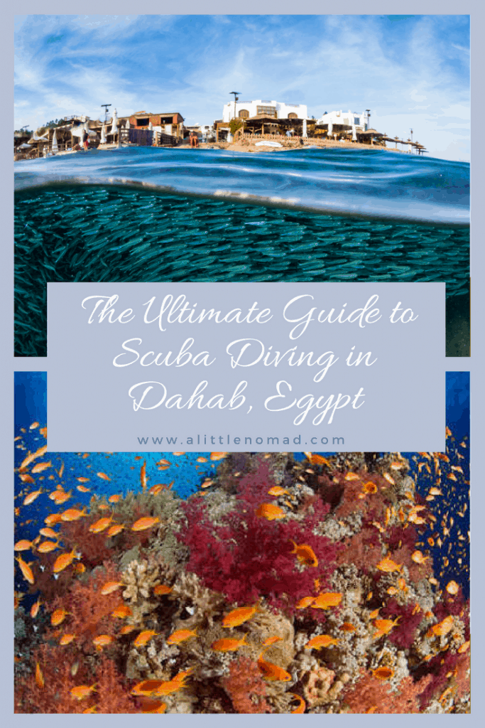 Dahab Diving The Ultimate Scuba Guide (by a local) • A Little Nomad