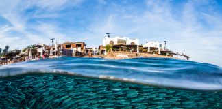 The Ultimate Guide To Scuba Diving in Dahab, Egypt