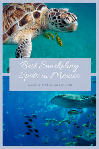 Best Snorkeling in Mexico - Top 7 Places