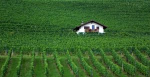 11 Fun & Interesting Facts About Switzerland