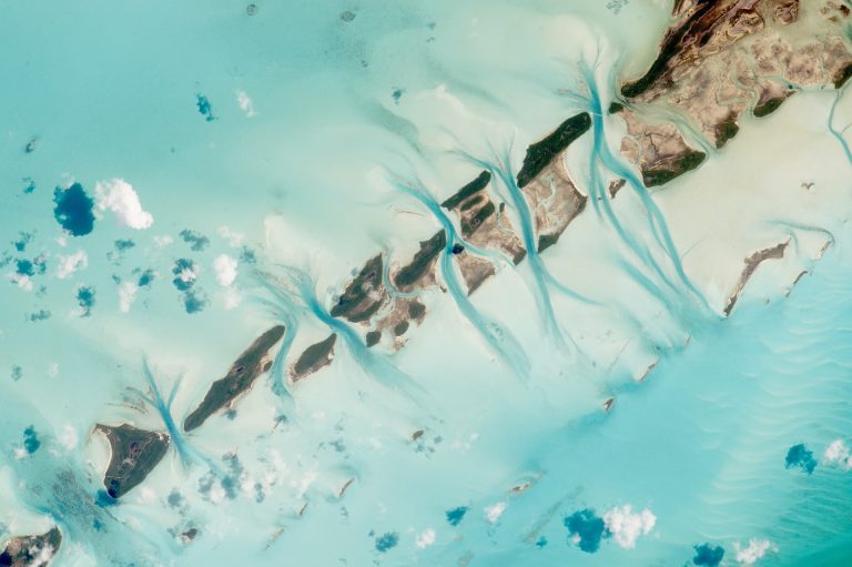 Best Snorkeling in Bahamas - Top 7 Snorkeling Spots
