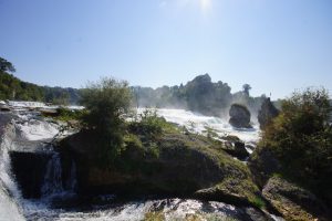 Things To Do In Zurich - Rhine Falls