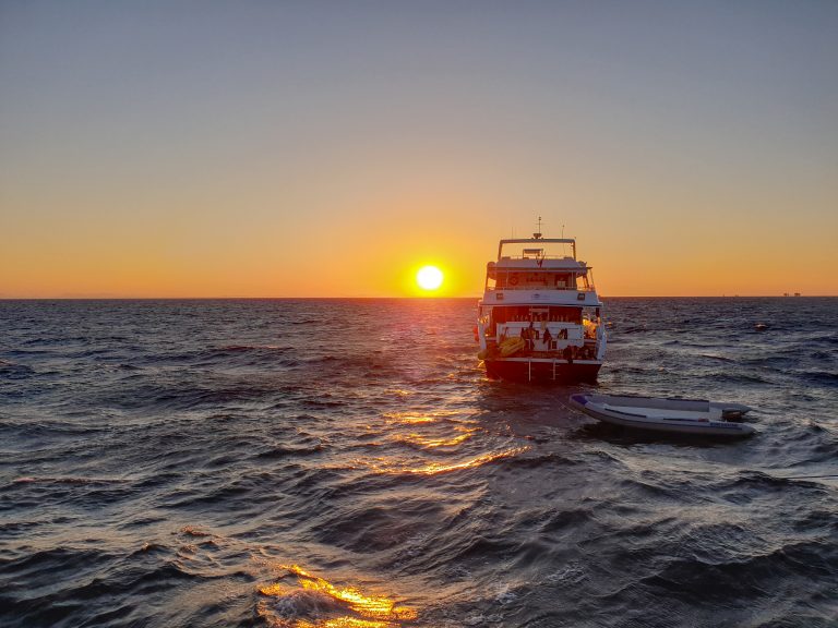 Liveaboard Diving in the Red Sea