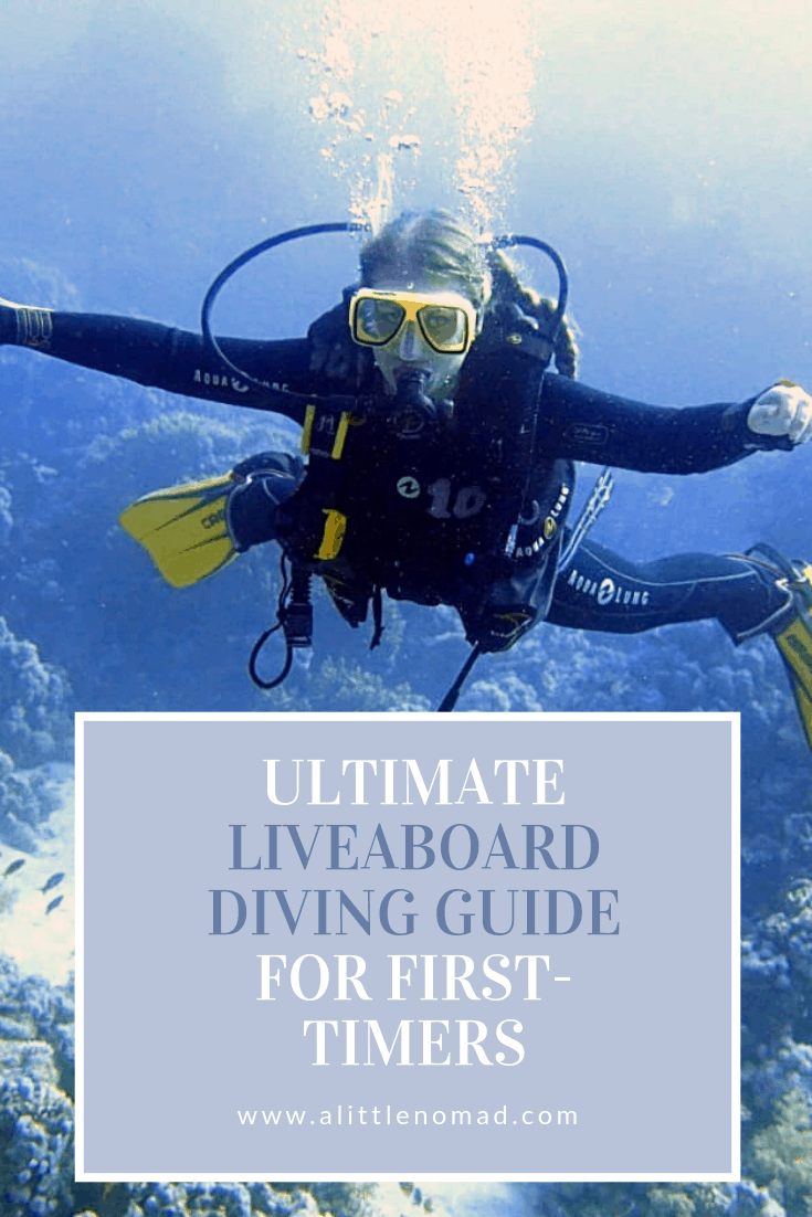 Liveaboard Diving – Ultimate Guide For First-Timers | A Little Nomad