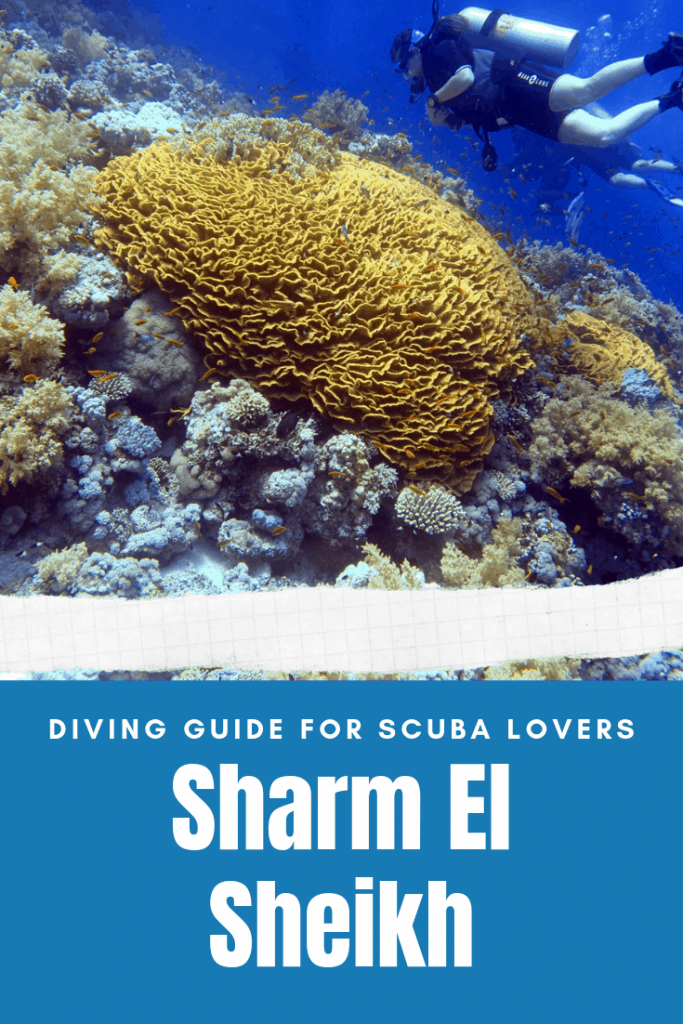 Scuba Diving in Sharm El-Sheikh