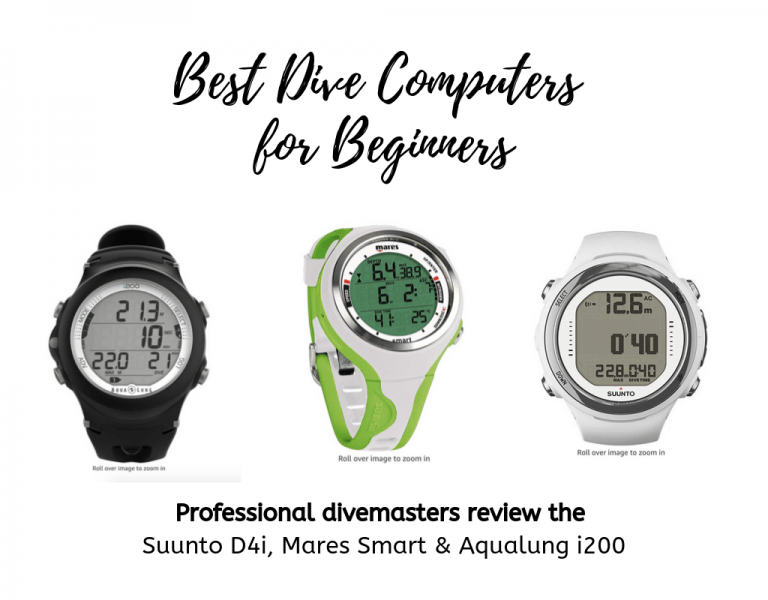 Best Dive Computer for Beginners