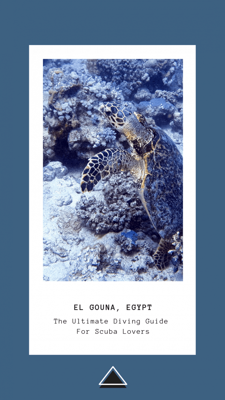 El Gouna Diving Guide for Scuba Fans A Little Nomad