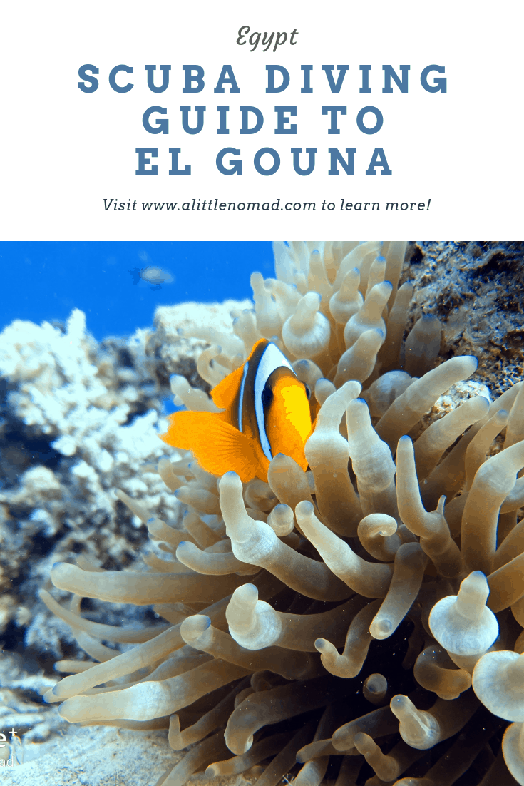 El Gouna Diving Guide for Scuba Fans A Little Nomad