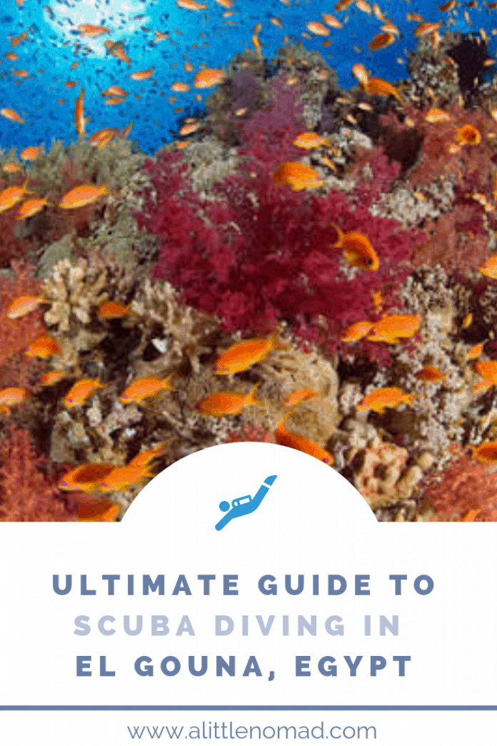 El Gouna Diving Guide for Scuba Fans A Little Nomad