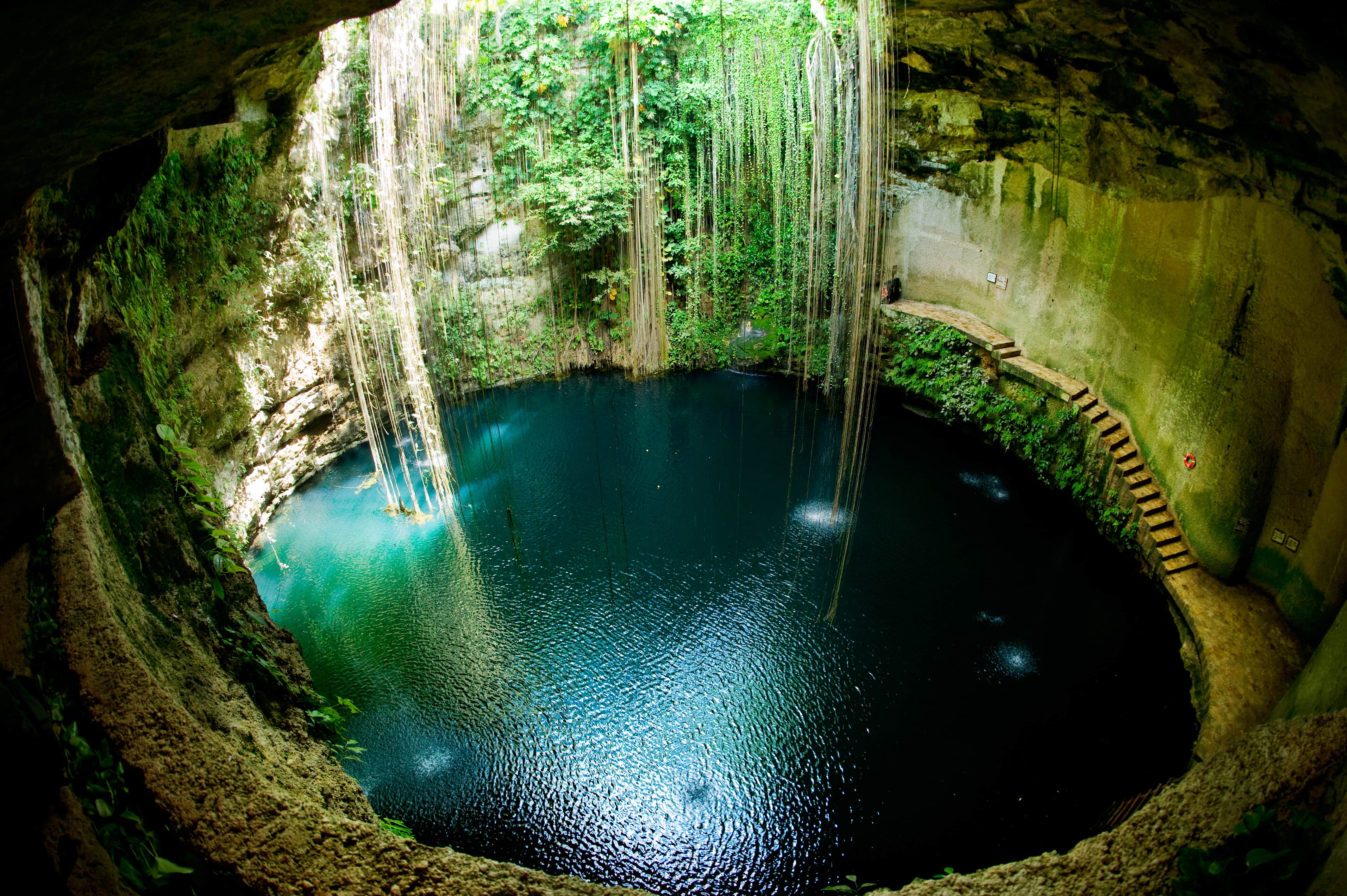 cenotes and ruins tour