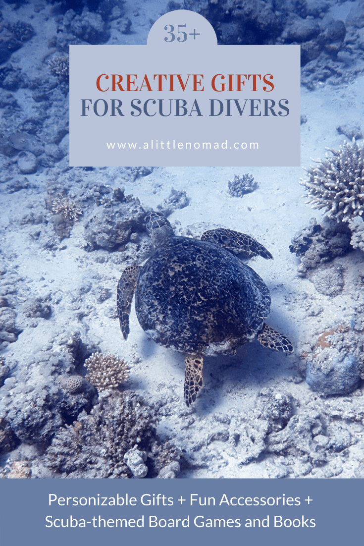 35+ Creative Gifts for Scuba Divers A Little Nomad