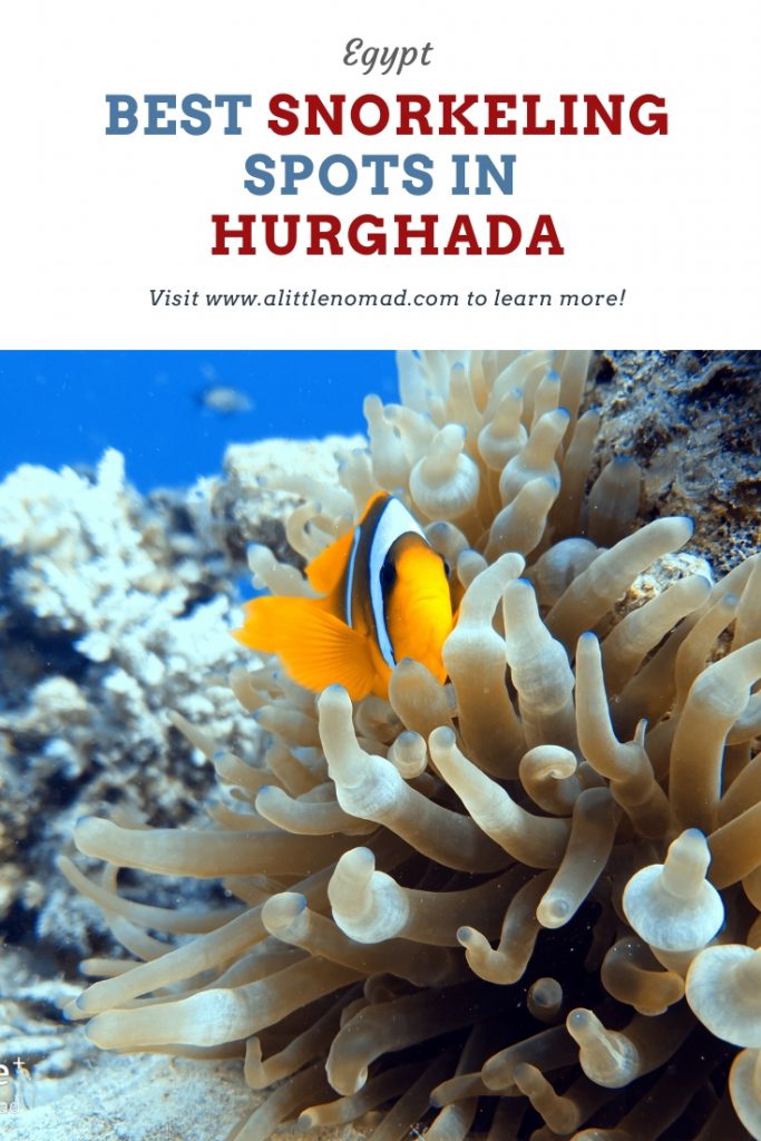 Hurghada Snorkeling Guide: 7 Best Snorkel Spots | A Little Nomad