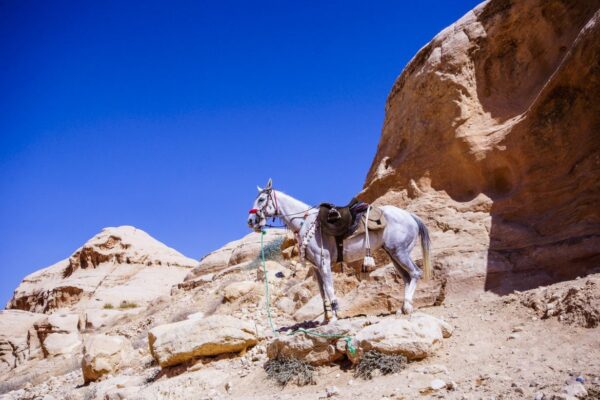 The Romance Scam In Petra - My Experience As A Solo Female Traveler In Petra, Jordan 7 How To: Not Get Scammed In Petra – My Experience As A Solo Female Traveler In Petra, Jordan