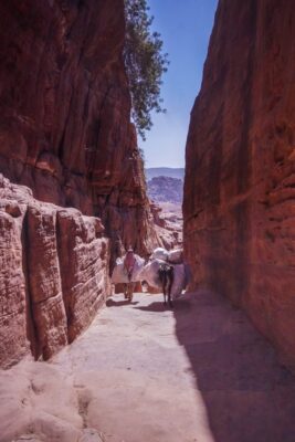 The Romance Scam In Petra - My Experience As A Solo Female Traveler In Petra, Jordan 24 Romance Scam In Petra – My Experience As A Solo Female Traveler In Petra, Jordan
