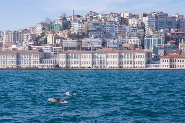 One Day in Istanbul - Best Photography Spots 37 One Day in Istanbul Best Photography Spots Attractions